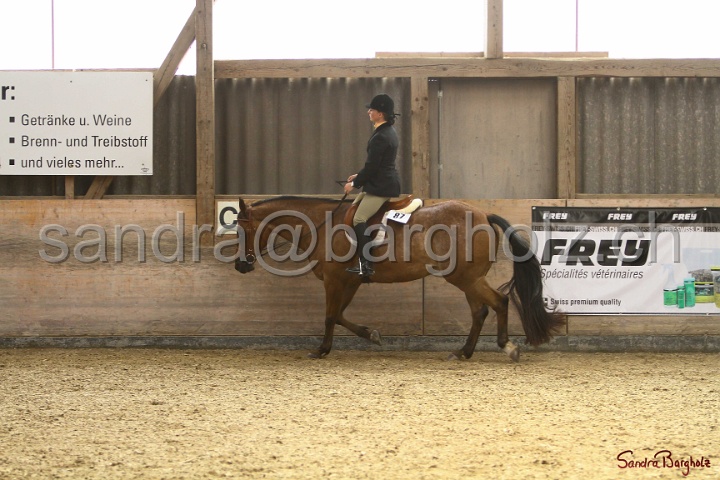 29-ApHC OHUS_045.jpg